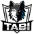 TABI.TEAM logo