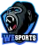 WeSports RIOT [inactive] logo