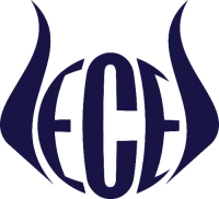 ex ZMM logo