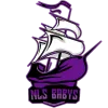 NLS eSports Baby's logo
