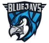 BLUEJAYS Chimera logo