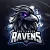 Reutlinger Ravens logo