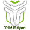 Bits of THM logo