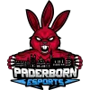 Paderborn E-Sports logo