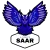 University E-Sport Saar logo