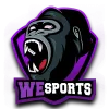 WeSports Rising logo