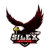 Silex eSports logo