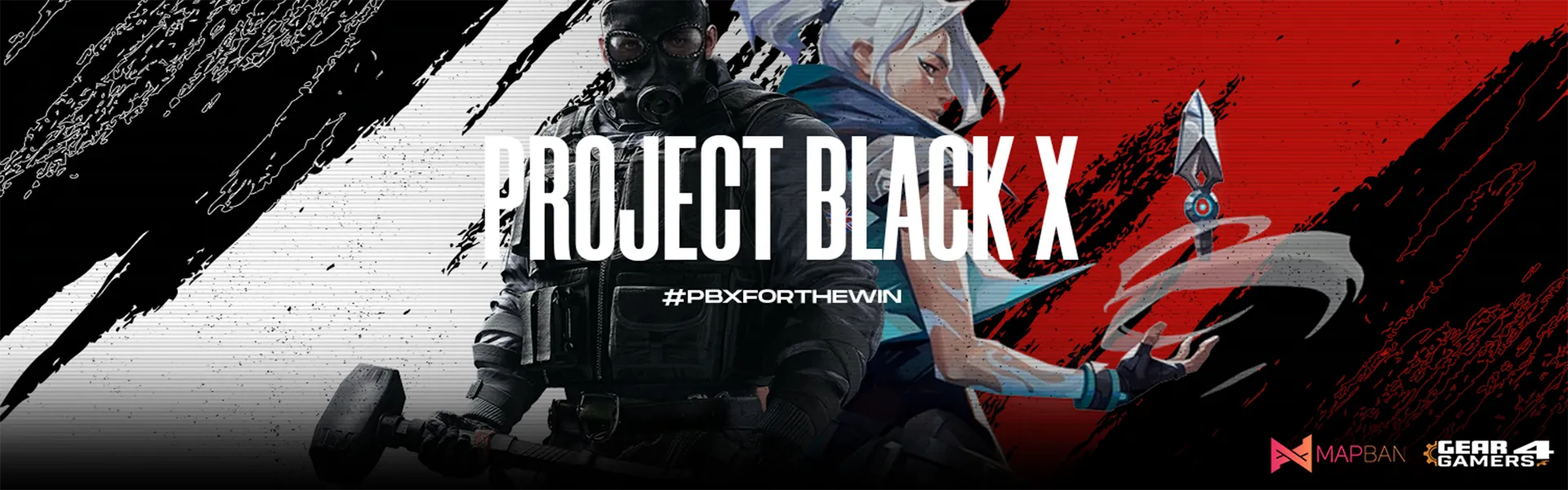 PROJECT BLACK X ESPORT banner
