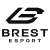 Brest Esport logo