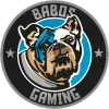 Babos Gaming [inactive] logo