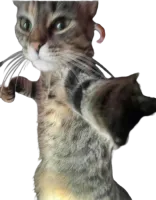 Forever Esports logo