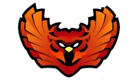 Next Destiny Team BullsEye logo