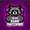 RaCo Team Purple logo