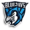 BLUEJAYS logo