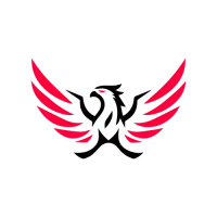 Dynasty Dragons logo