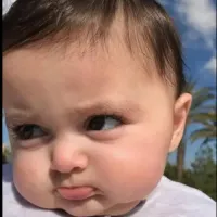 Sweet home ALABAMA logo