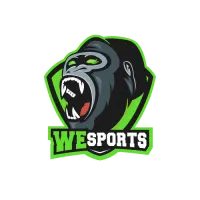 WeS Reverse Lan [inactive] logo