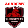 TheBeasts Gaming Aca_logo