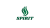 Spirit Esports logo