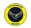 Oyun`Hizmetleri logo