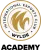 WYLDE Academy logo