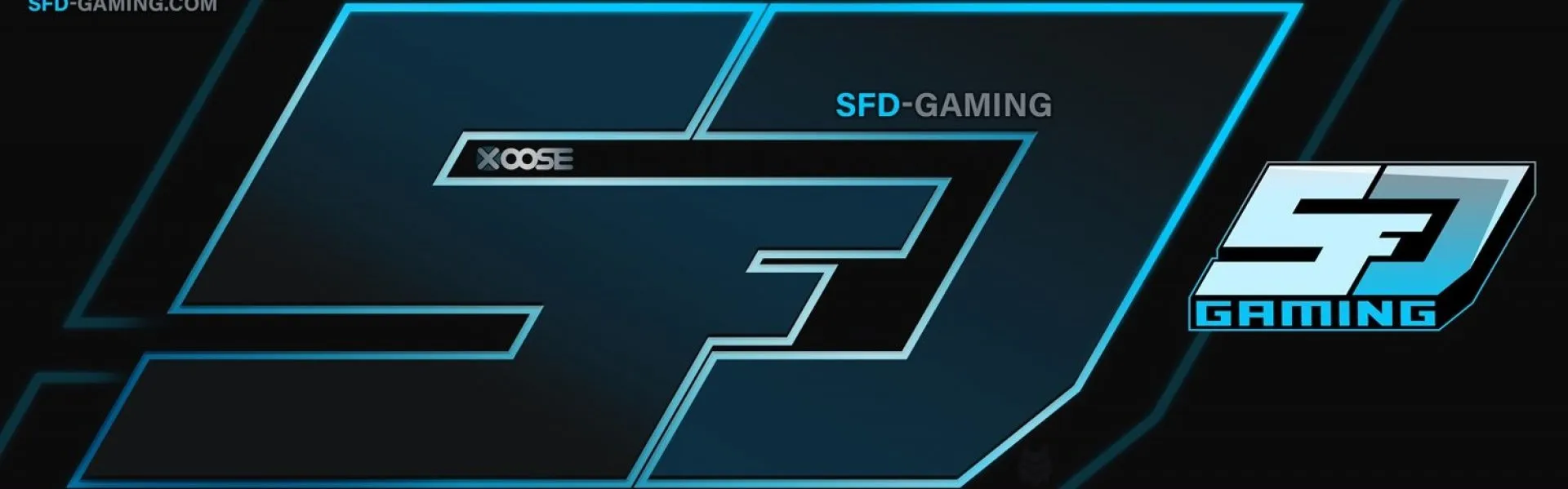 SFD-Gaming banner
