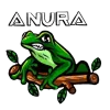 DP Anura logo