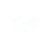 WHALE SPORTS logo