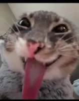 nuroxed_'s profile picture
