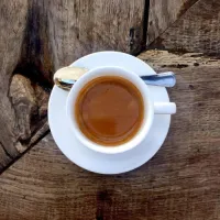 MoonSafari's profile picture