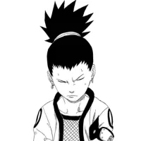 linkS017's profile picture