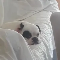 El Poderoso's profile picture