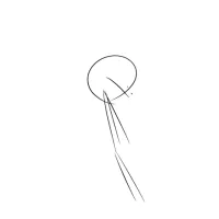 _iexav's profile picture