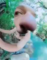 lIl_GreenFox_IlI's profile picture