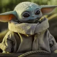 wersi's profile picture