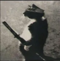 Valele's profile picture