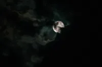 Veiled's profile picture