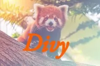 Divy.AsX's profile picture