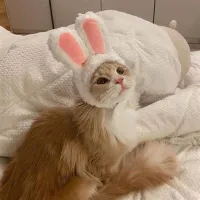 Mare's profile picture