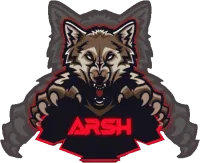ArShtv's profile picture