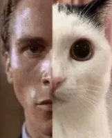 Kvik1703#3x6's profile picture