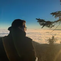 Xylometachlorid's profile picture