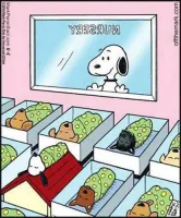 itsjjj's profile picture