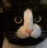 flakes's profile picture