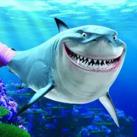 Shark's profile picture