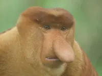 Thatos's profile picture