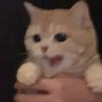 Poqr's profile picture