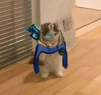 Violet's profile picture