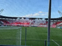 OpaVinelic's profile picture