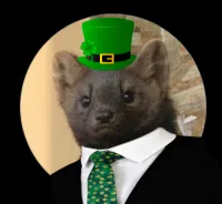 Pushing's profile picture